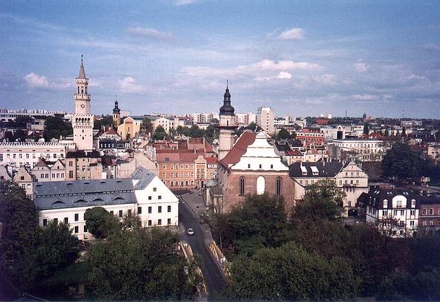 Widok z Wiey Piastowskiej